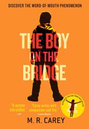 Icon image The Boy on the Bridge