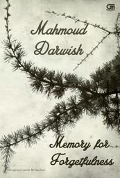 Icon image Memory for Forgetfulness