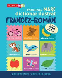 Icon image Primul meu MARE dicționar ilustrat FRANCEZ-ROMÂN: Cu peste 700 de cuvinte, peste 50 de teme, peste 50 de expresii