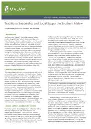 Icon image Traditional leadership and social support in Southern Malawi