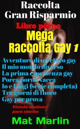 Icon image Mega raccolta gay