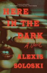 Icon image Here in the Dark: A Novel