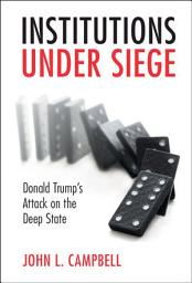 Icon image Institutions under Siege