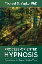 Icon image Process-Oriented Hypnosis: Focusing on the Forest, Not the Trees