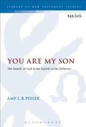 Icon image You Are My Son: The Family of God in the Epistle to the Hebrews