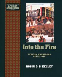 Icon image Into the Fire: African Americans Since 1970