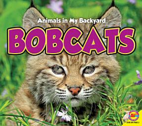 Icon image Bobcats