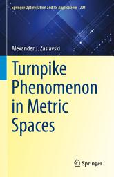 Icon image Turnpike Phenomenon in Metric Spaces