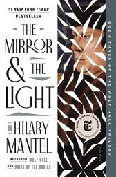 Icon image The Mirror & the Light: A Novel