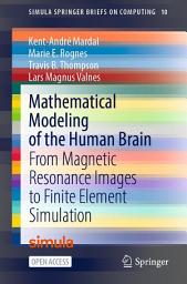 Icon image Mathematical Modeling of the Human Brain: From Magnetic Resonance Images to Finite Element Simulation