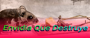Icon image Envidia Que Destruye