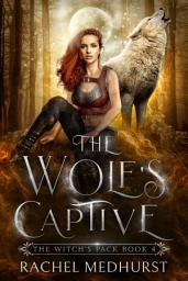 Icon image The Wolf's Captive: witch and wolf paranormal romance