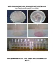Icon image Production and optimization of extracellular lipase by Bacillus subtilis using submerged fermentation