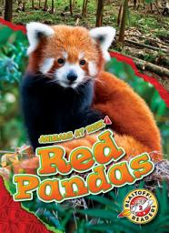 Icon image Red Pandas