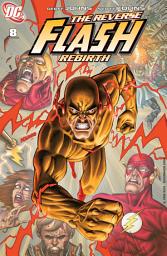 Icon image The Flash (2010)