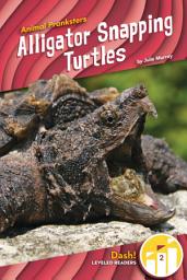 Icon image Alligator Snapping Turtles