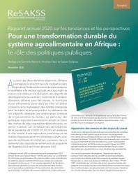 Icon image Rapport annuel 2020 sur les tendances et les perspectives: Pour une transformation durable du système agroalimentaire en Afrique: Le rôle des politiques publiques