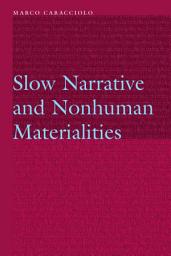 Icon image Slow Narrative and Nonhuman Materialities