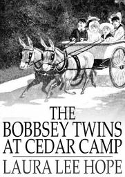 Icon image The Bobbsey Twins at Cedar Camp