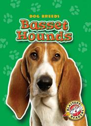 Icon image Basset Hounds