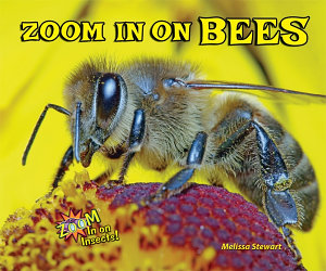 Icon image Zoom in on Bees