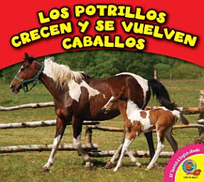 Icon image Los potrillos crecen y se vuelven caballos