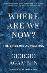 Icon image Where Are We Now?: The Epidemic as Politics