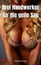 Icon image Drei Handwerker für die geile Sau: Versaute Story, Ausgabe 2