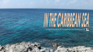 Icon image In the Caribbean Sea. A photoalbum