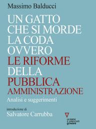 Icon image Un gatto che si morde la coda ovvero le riforme della pubblica amministrazione