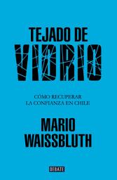 Icon image Tejado de vidrio: Cómo recuperar la confianza en chile