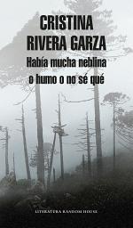 Icon image Había mucha neblina o humo o no sé qué