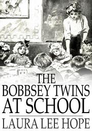 Icon image The Bobbsey Twins at School