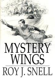 Icon image Mystery Wings: A Mystery Story for Boys