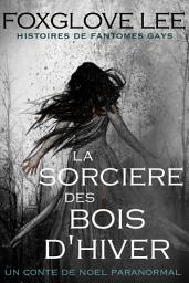 Icon image La sorcière des bois d'hiver: Un conte de Noël paranormal
