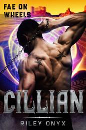 Icon image Cillian: steamy insta love paranormal romance