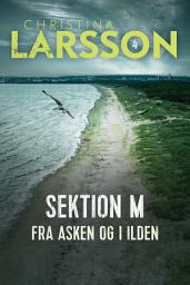 Icon image Sektion M - 4: Fra asken og i ilden, Bind 4