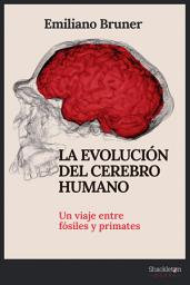 Icon image La evolución del cerebro humano: Un viaje entre fósiles y primates