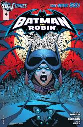 Icon image Batman and Robin (2011)